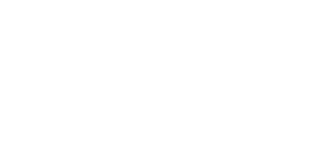 Logo Blizzard