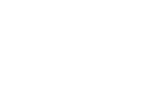 Logo King